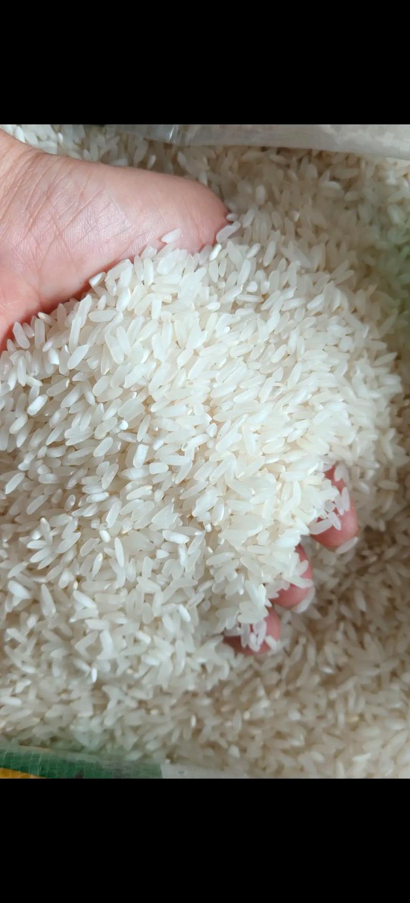 23年加工大米,米白散饭,价格实惠,要的联系 - 抖音
